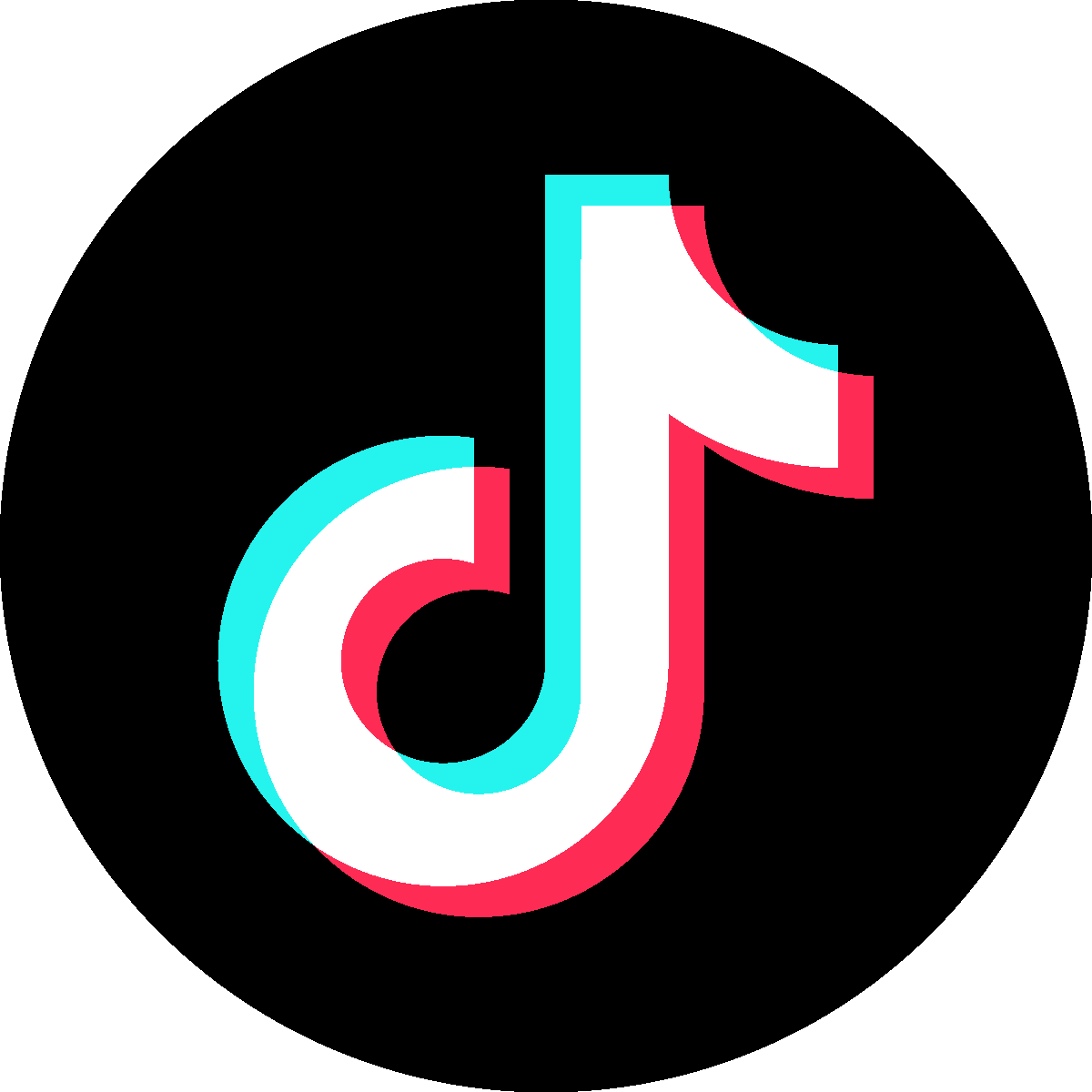 TikTok logo icon